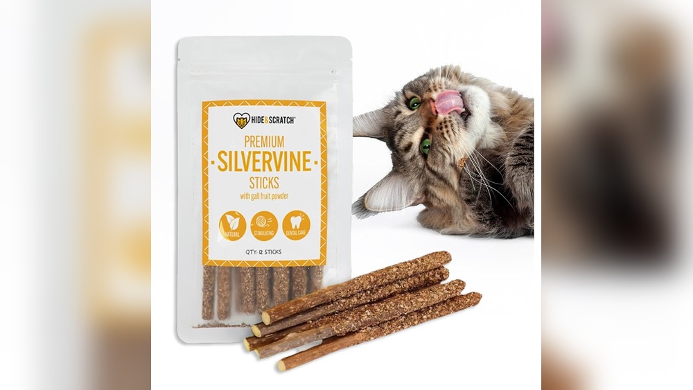 Why More Toys And Treats for Dogs Than Cats: Surprising Truths Revealed