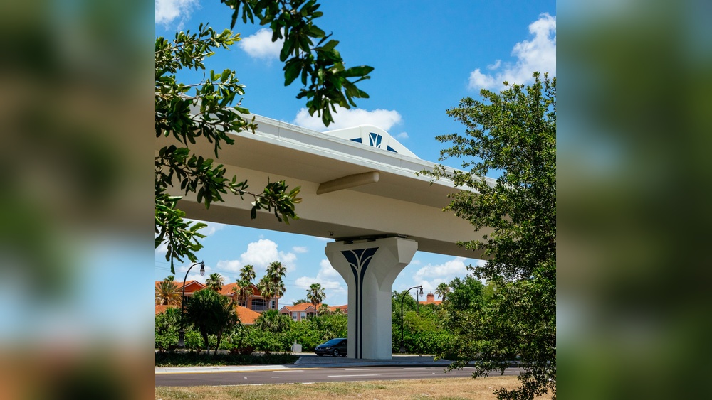 Will Cats With Parametritis Over Groom? Signs & Solutions