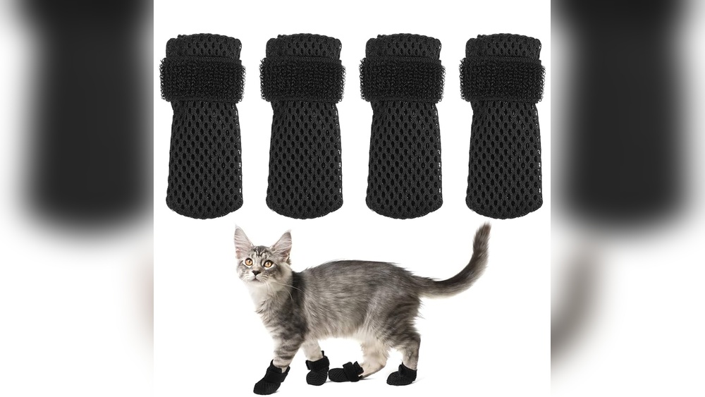 Will Pet Groomer Apply Cat Caps? Essential Facts Revealed!