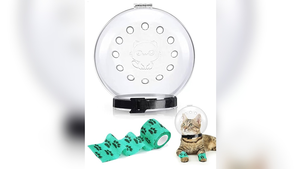 Would a Cat Groom a Wound a Lot? Shocking Truth Revealed!