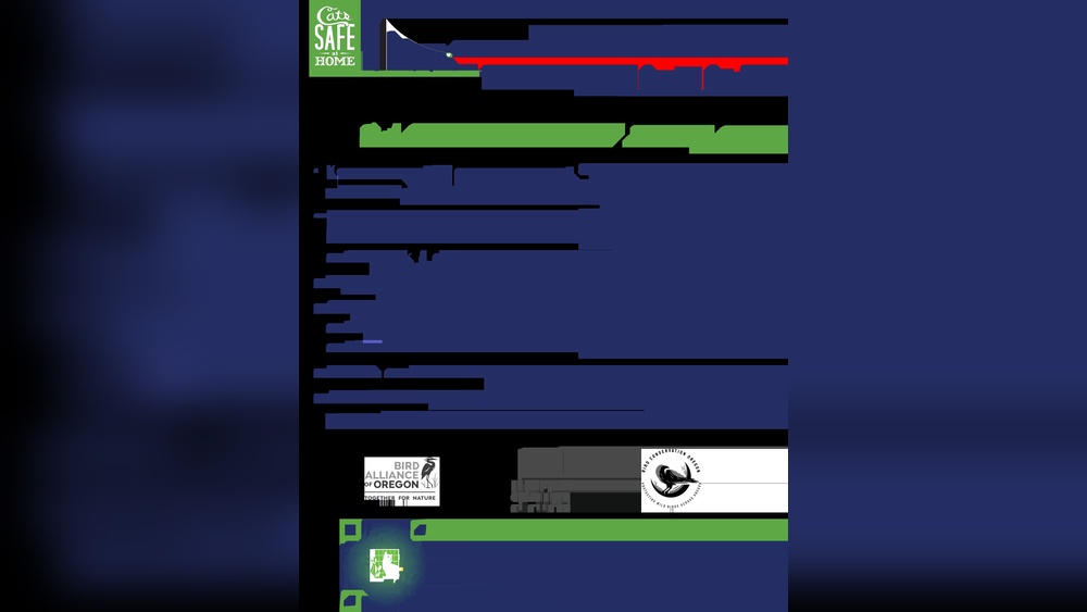 Would It Be Safe to Give Feral Cats Kitten Chow? Expert Insights